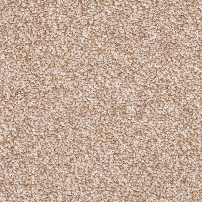 Mohawk Flooring - Walnut Sage - Dynamic Quality II - EverStrand - Carpet
