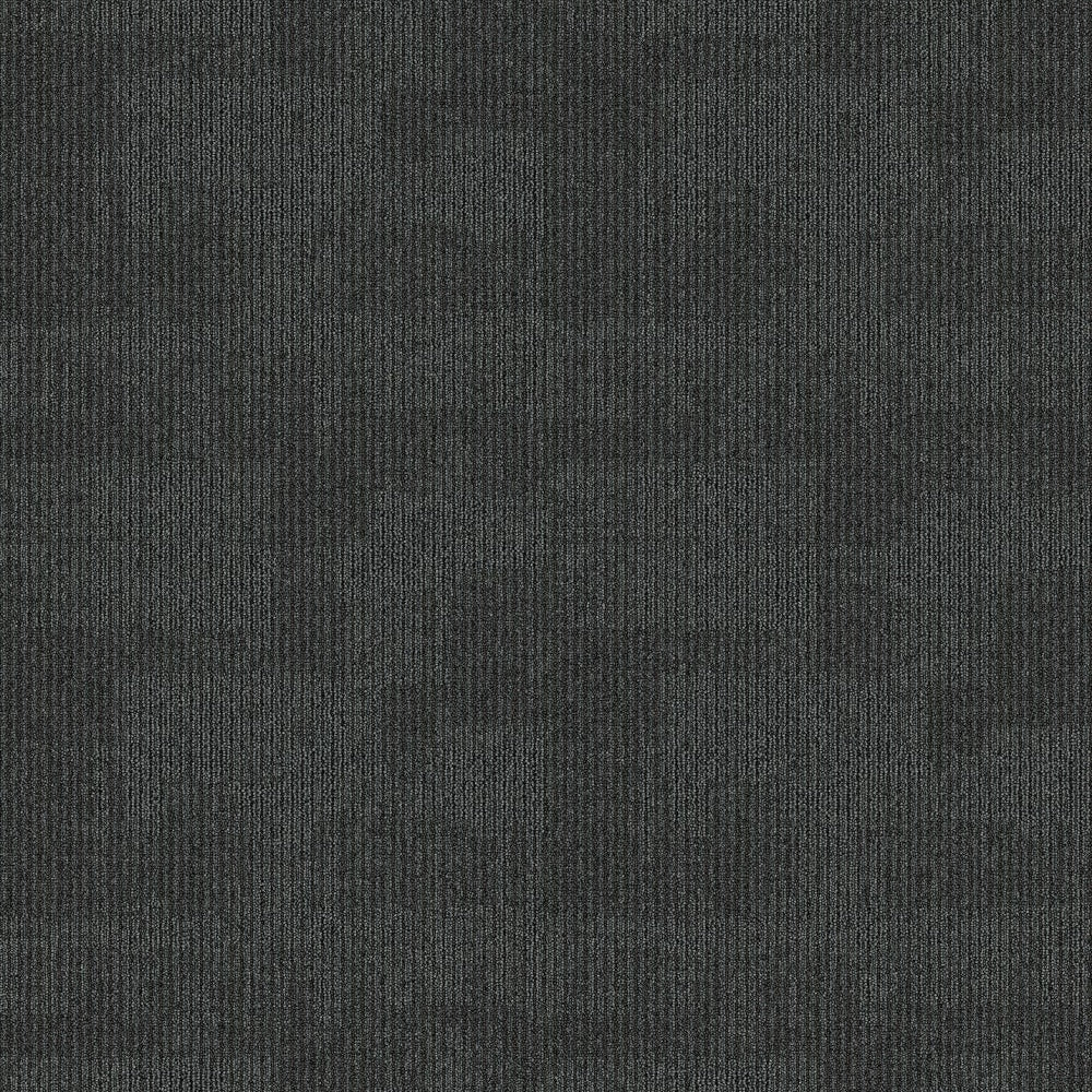 TAS Flooring - Raven - Parkway Plaza - Local Legend - 24"x24" Carpet Tile