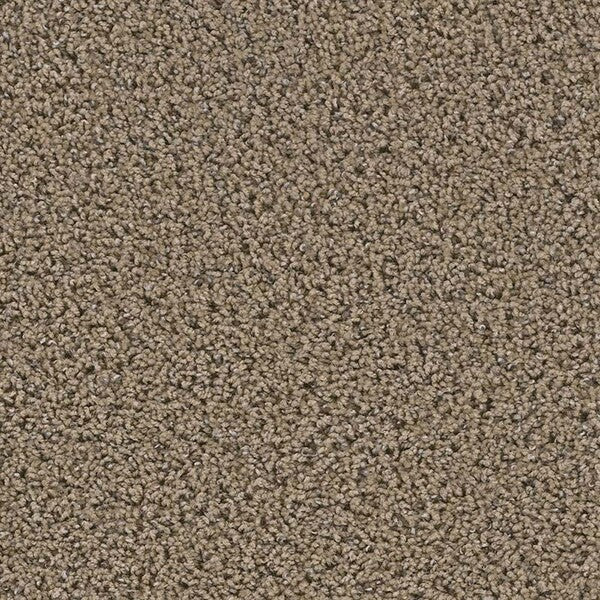 TAS Flooring - Caldera - Residential Carpet - Yellowstone - Carpet