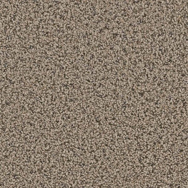 TAS Flooring - Clovis - Residential Carpet - Yellowstone - Carpet