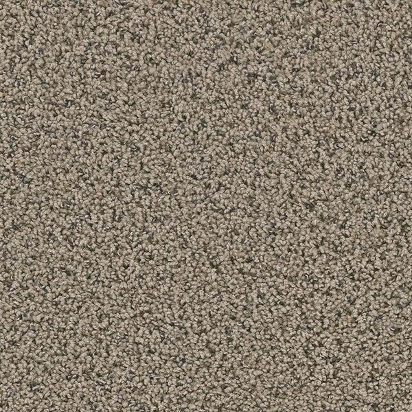 TAS Flooring - Hayden Valley - Residential Carpet - Yellowstone - Carpet