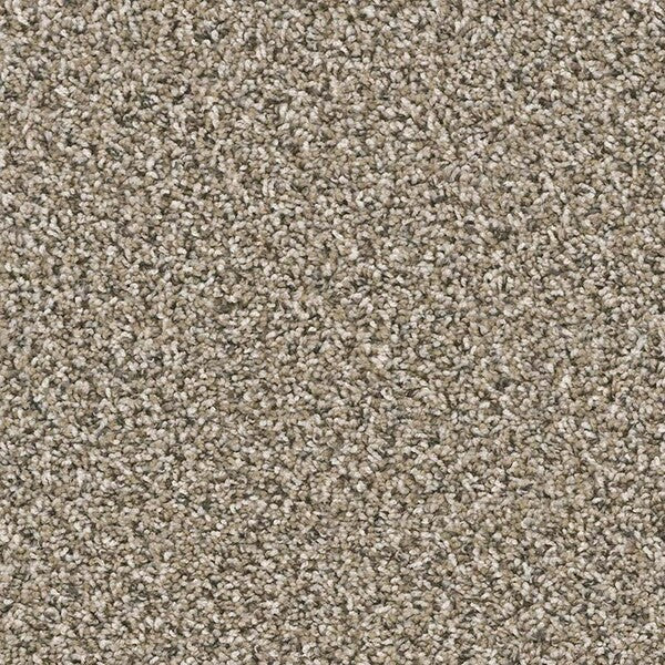 TAS Flooring - Teton - Residential Carpet - Yellowstone - Carpet