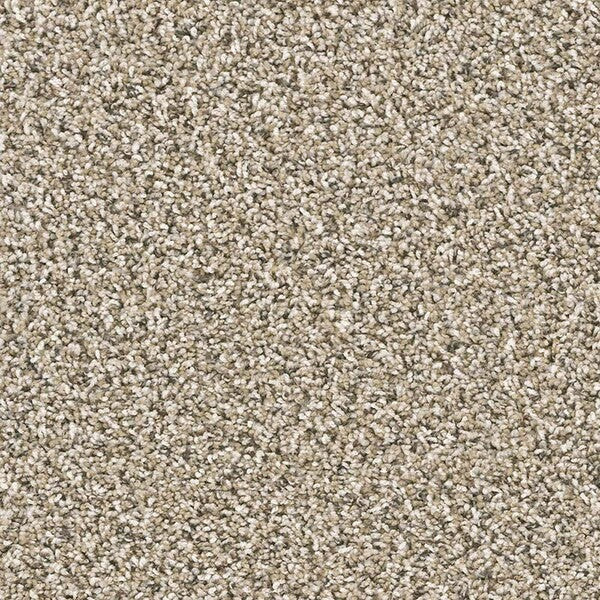TAS Flooring - Washburn - Residential Carpet - Yellowstone - Carpet