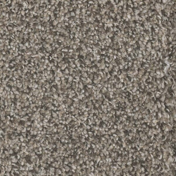 TAS Flooring - Bark - Residential Carpet - Yosemite - Carpet