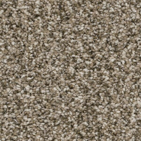 TAS Flooring - Sagebrush - Residential Carpet - Yosemite - Carpet