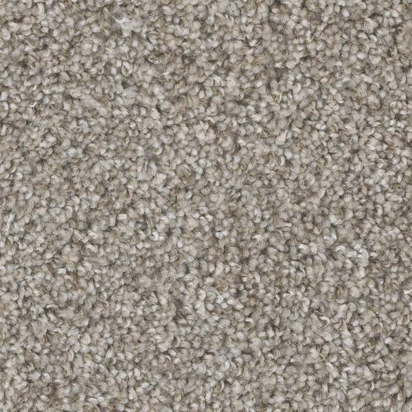 TAS Flooring - Sierra - Residential Carpet - Yosemite - Carpet