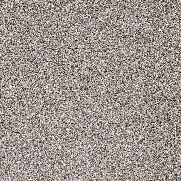 TAS Flooring - Creekside - 100% PureColor™ - Badlands - Carpet