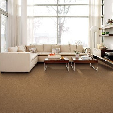 Mohawk - Rustic Beam - Homefront I - SmartStrand - Carpet