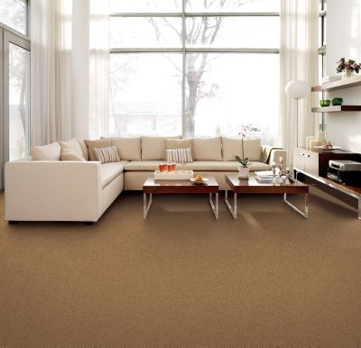 Mohawk - Rococo Beige - Classical Design I - SmartStrand - Carpet