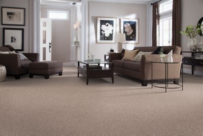 Mohawk - Shell Trail - Elegant Appeal III - EverStrand - Carpet