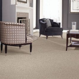 Mohawk - Fiddlewood - Perfect Attraction - SmartStrand - Carpet