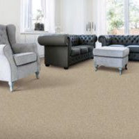Mohawk - Warm Fog - Brilliant Idea - SmartStrand - Carpet