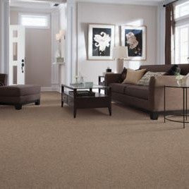 Mohawk - Virginia Mist - Artistic Allure - SmartStrand - Carpet