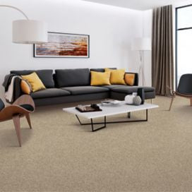 Mohawk - Bordeaux River - Artistic Retreat - SmartStrand - Carpet