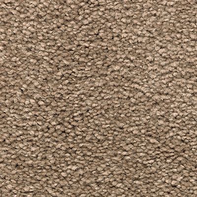 Mohawk - Montego - Noteworthy Selection - SmartStrand - Carpet