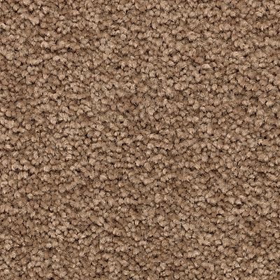 Mohawk - Nouveau - Noteworthy Selection - SmartStrand - Carpet