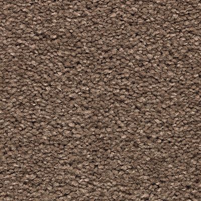 Mohawk - Tudor - Noteworthy Selection - SmartStrand - Carpet