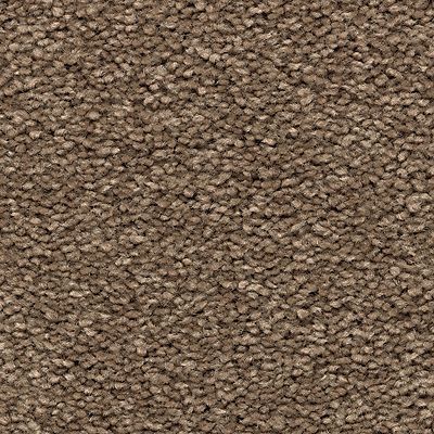 Mohawk - Timberlane - Noteworthy Selection - SmartStrand - Carpet