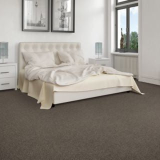 Mohawk - Weathered Plank - Memorable View - SmartStrand - Carpet