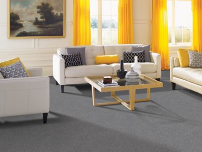 Mohawk - Dovetail - Peaceful Elegance - SmartStrand Silk - Carpet