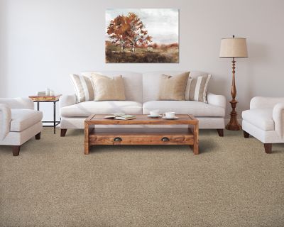 Mohawk - Driftwood - Color Fusion I - EverStrand - Carpet