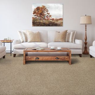 Mohawk - Driftwood - Color Fusion II - EverStrand - Carpet