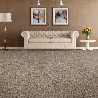 Mohawk - Looking Glass - Soft Distinction I - EverStrand Soft Appeal - Carpet