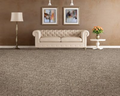 Mohawk - Desert Valley - Soft Distinction I - EverStrand Soft Appeal - Carpet