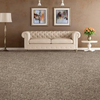 Mohawk - Mineral Deposit - Soft Distinction I - EverStrand Soft Appeal - Carpet