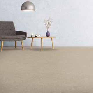 Mohawk - Dried Peat - Soft Comfort - EverStrand Soft Appeal - Carpet