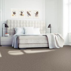 Mohawk - Classic Silver - Soft Outlook - EverStrand Soft Appeal - Carpet