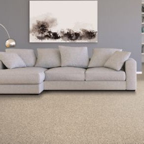 Mohawk - Ancient Treasure - Cozy Classic - EverStrand - Carpet