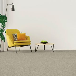 Mohawk - Linen - Gentle Path - SmartStrand - Carpet