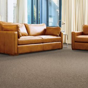 Mohawk - Kodiak - Enduring Amazement - EverStrand - Carpet