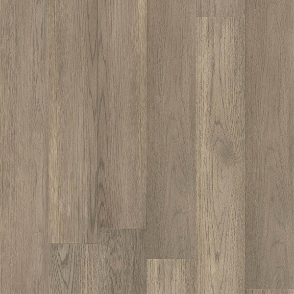TAS Flooring - Prestige Cove - Latitudes 6.5 Collection - Hardwood