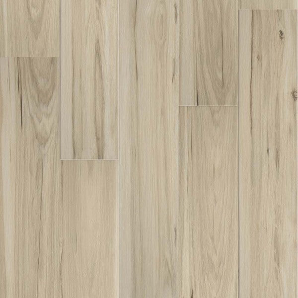 TAS Flooring - Norse - Concord - Full Glue down - Vinyl Planks - Commercial Flooring