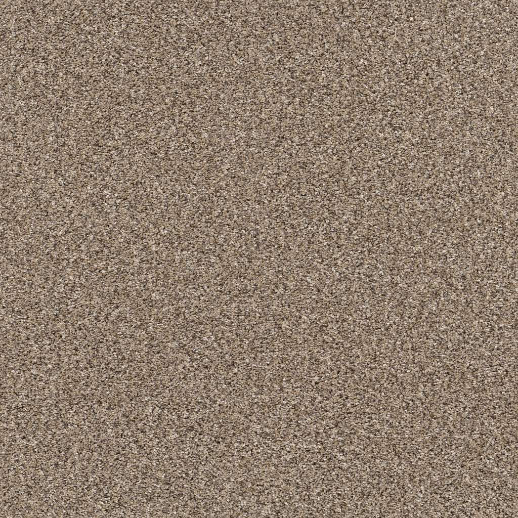 Shaw Floors - 00100 Sea Shell - 5E570 YES YOU CAN III 12' - Pet Perfect - Carpet