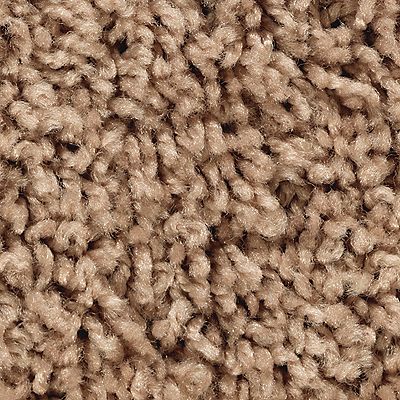 Mohawk - Toasted Seed - Alliance - EverStrand - Carpet