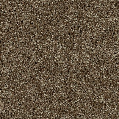 Mohawk - Cottage Craft - Tonal Luxury II - SmartStrand - Carpet