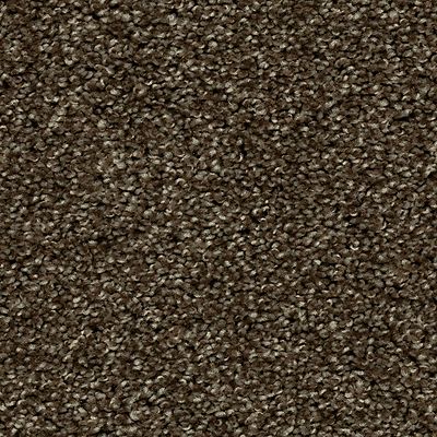 Mohawk - Portobello - Tonal Luxury II - SmartStrand - Carpet