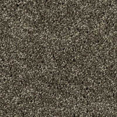 Mohawk - Meteorite - Tonal Luxury II - SmartStrand - Carpet