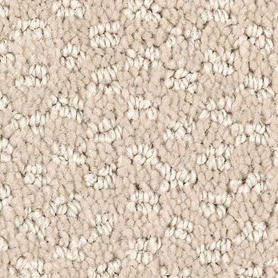 Mohawk - Tundra - Graceful Manner - SmartStrand - Carpet