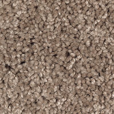 Mohawk - Driftwood - Tender Moment - SmartStrand - Carpet