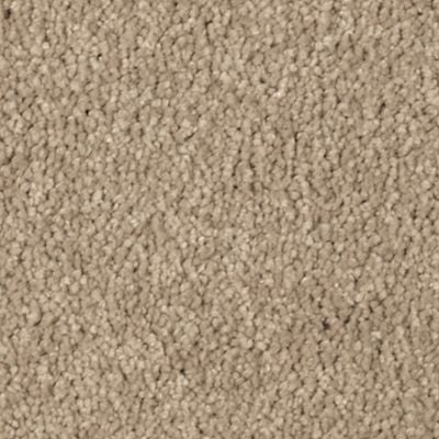 Mohawk - Toasted Bagel - Natural Splendor I - SmartStrand Silk - Carpet