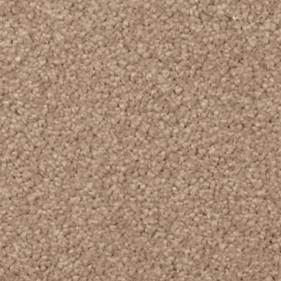 Mohawk - Spiced Tea - Natural Splendor I - SmartStrand Silk - Carpet