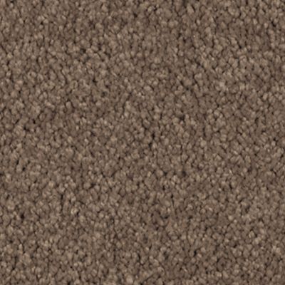 Mohawk - Nutmeg - Natural Splendor I - SmartStrand Silk - Carpet