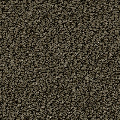 Mohawk - Dried Peat - Nature's Beauty - SmartStrand Silk - Carpet