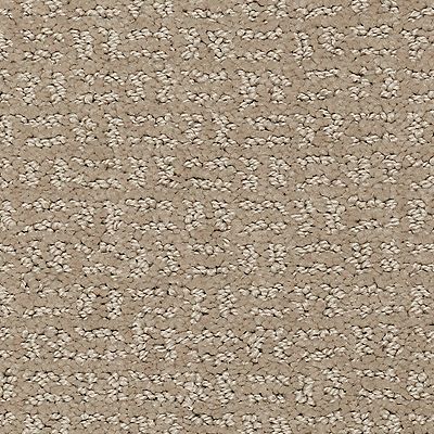 Mohawk - Turkish Delight - Flawless Vision - SmartStrand - Carpet