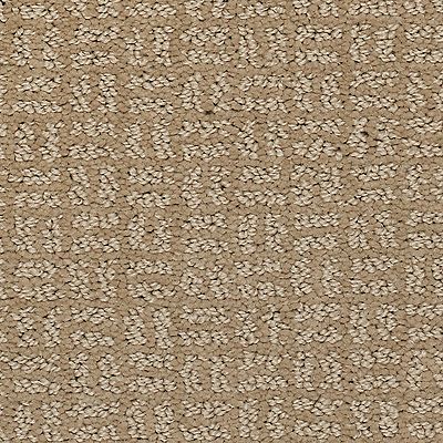 Mohawk - Golden Satin - Flawless Vision - SmartStrand - Carpet