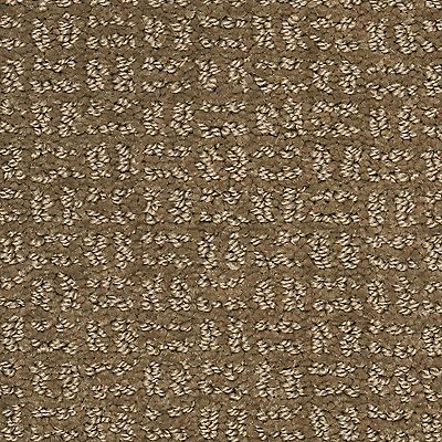 Mohawk - Ancient Oaks - Flawless Vision - SmartStrand - Carpet